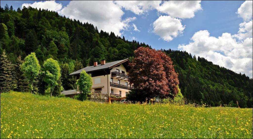 Hotel Enzianbrenner Jenig Zewnętrze zdjęcie