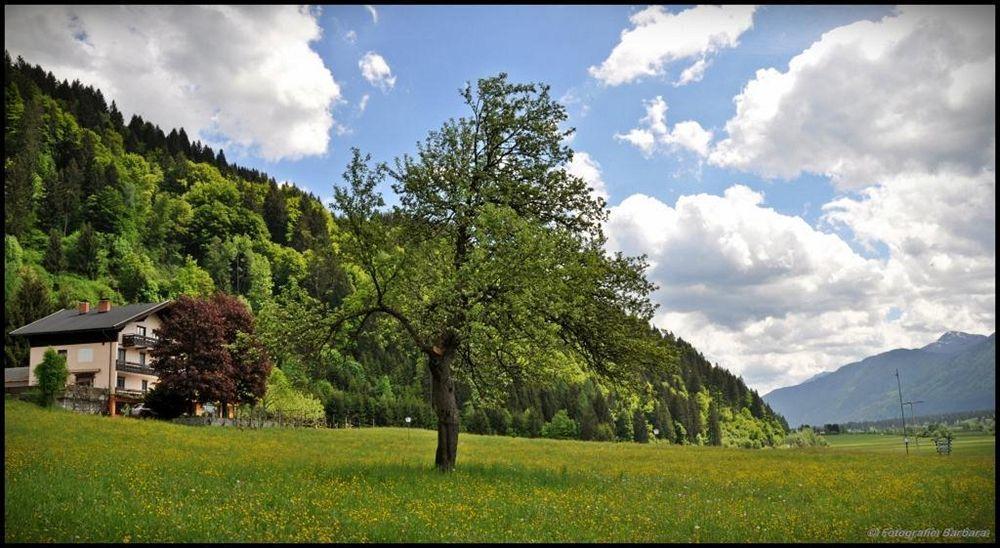 Hotel Enzianbrenner Jenig Zewnętrze zdjęcie